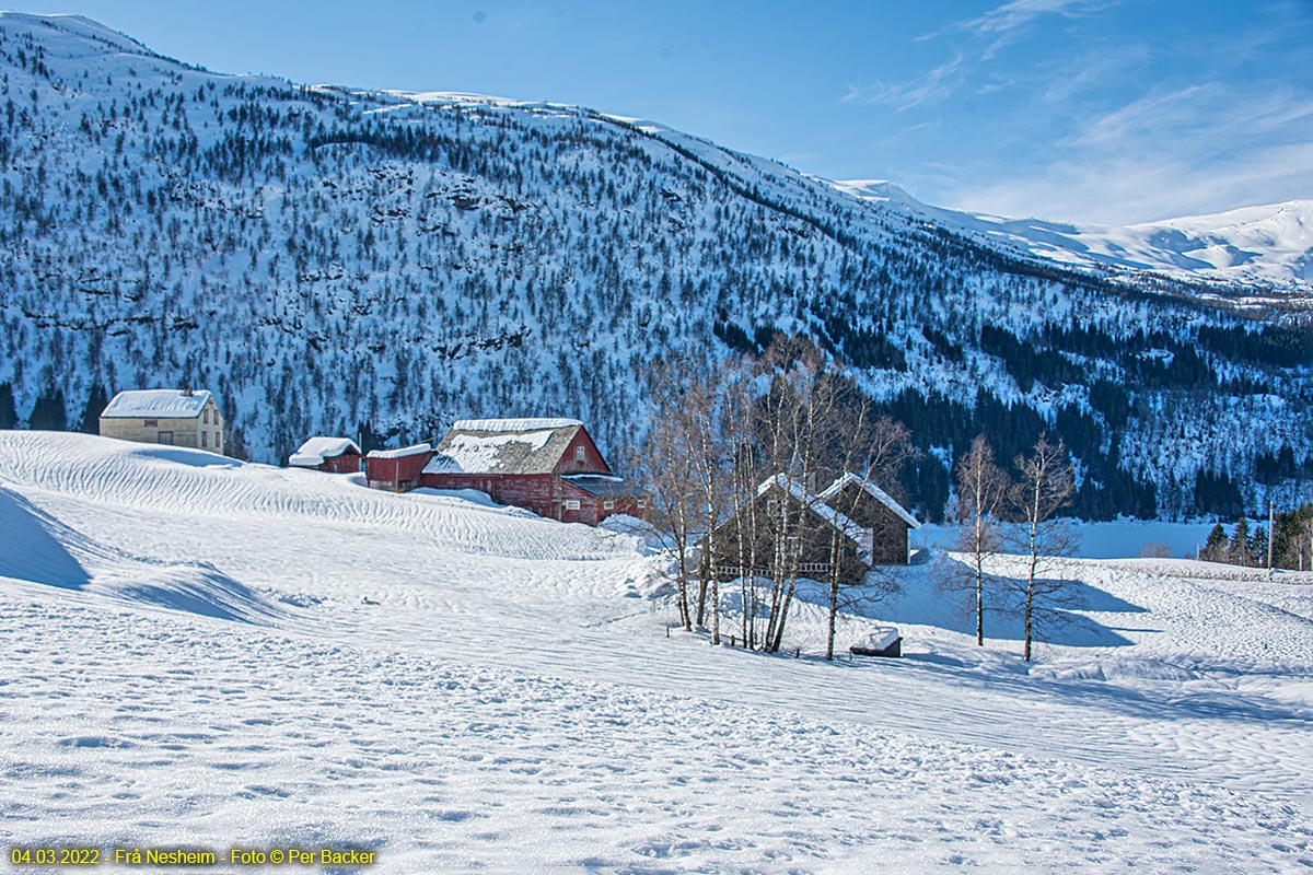 Frå Nesheim