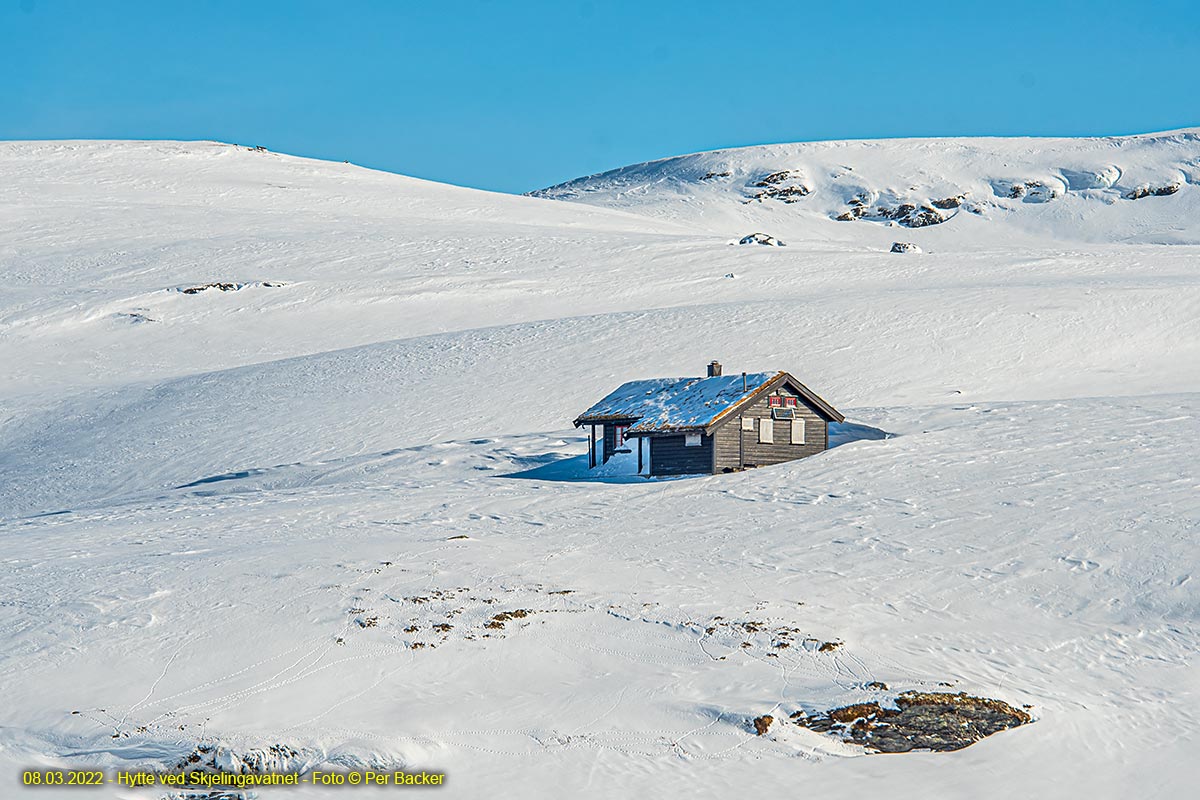 Hytte ved Skjelingavatnet