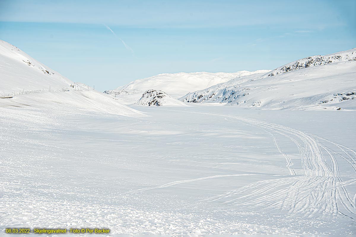 Skjelingavatnet