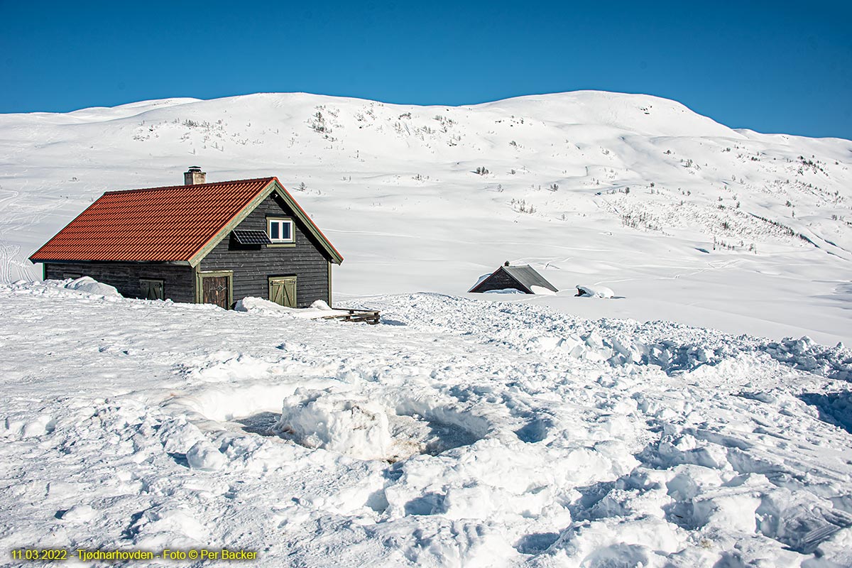 Tjødnarhovden