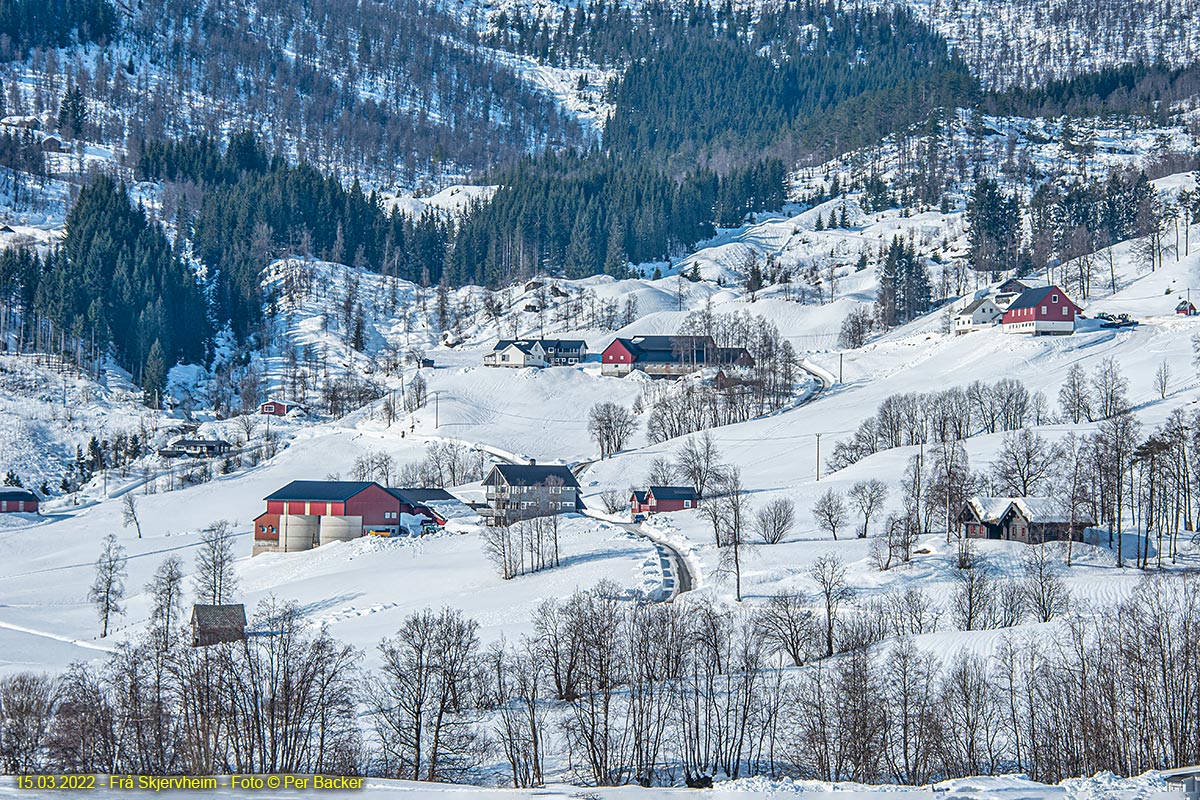 Frå Skjervheim