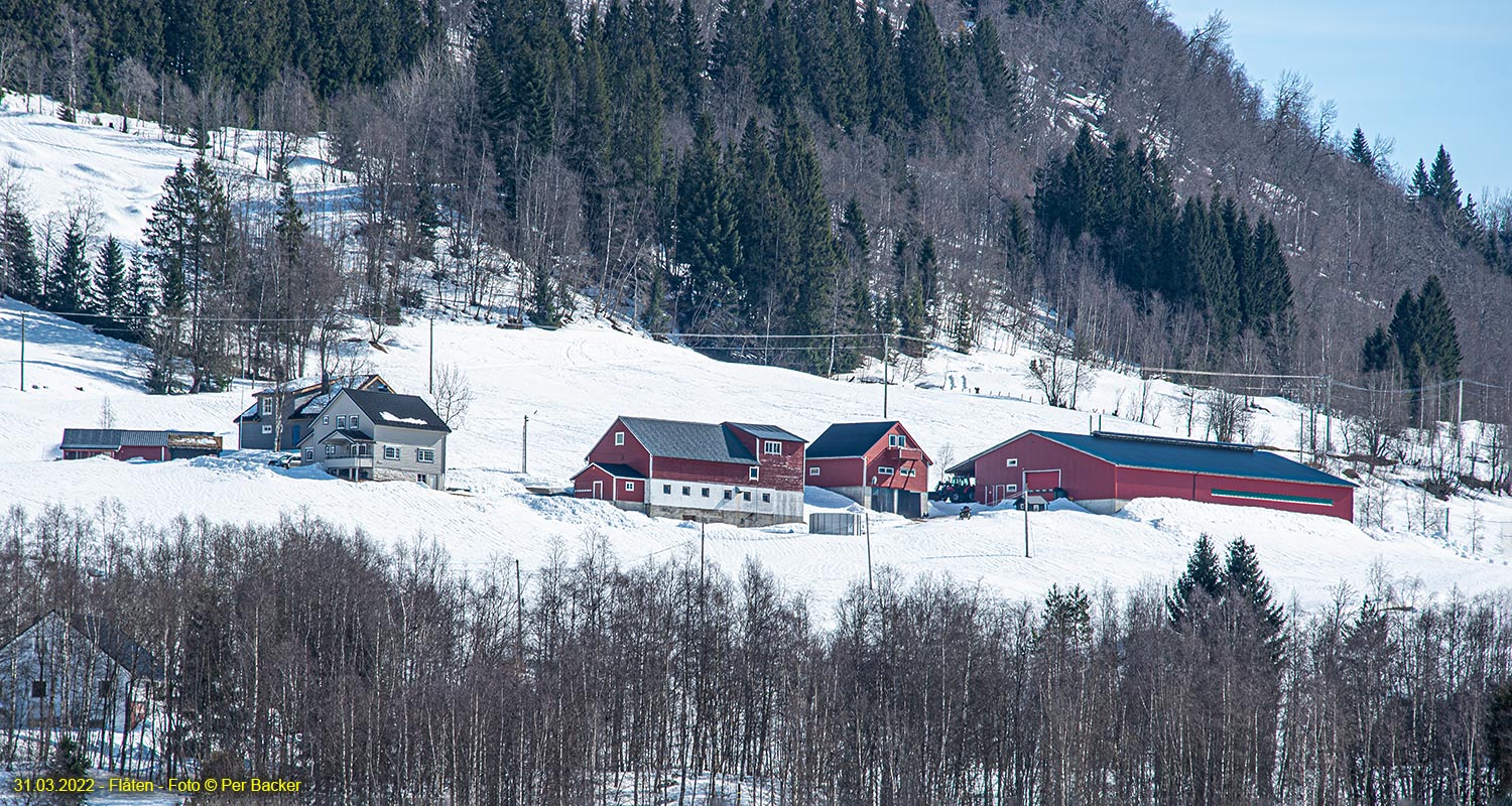 Flåten