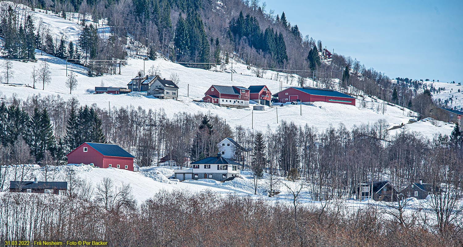 Frå Neseheim