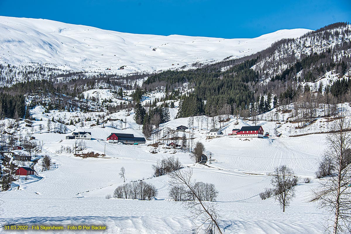 Frå Skjervheim