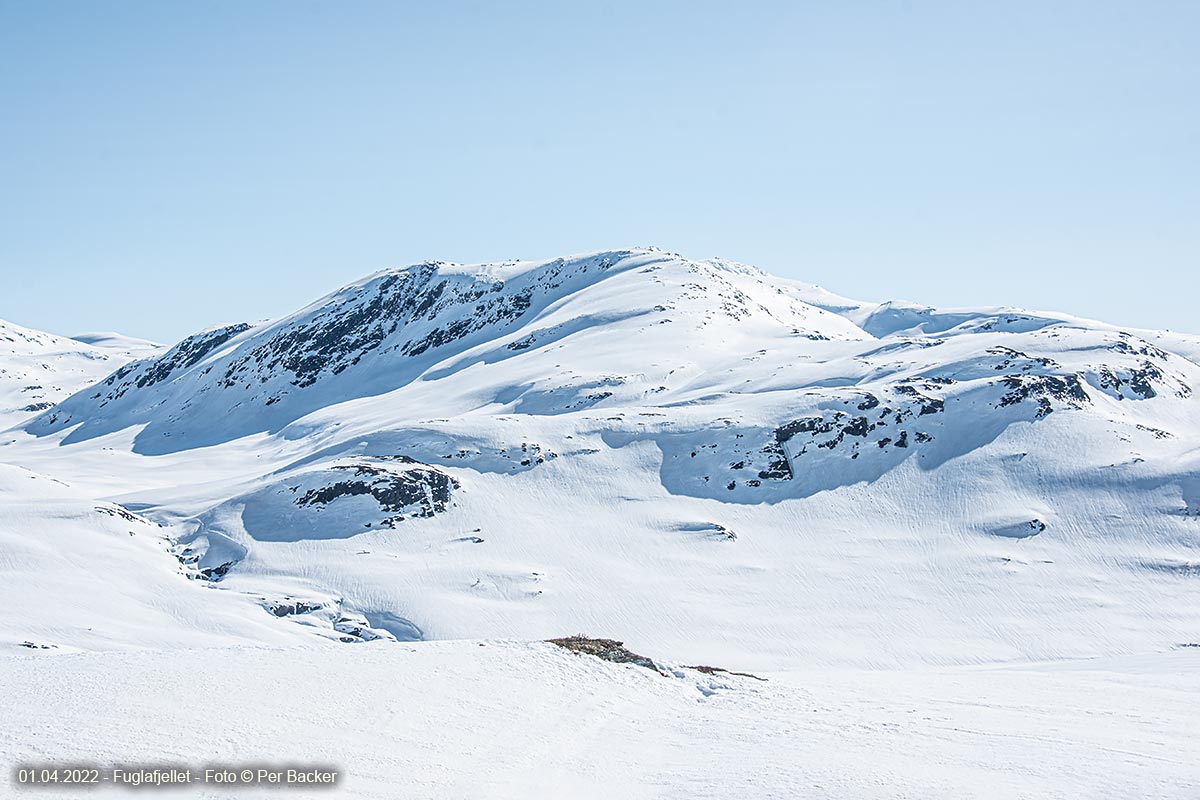 Fuglafjellet