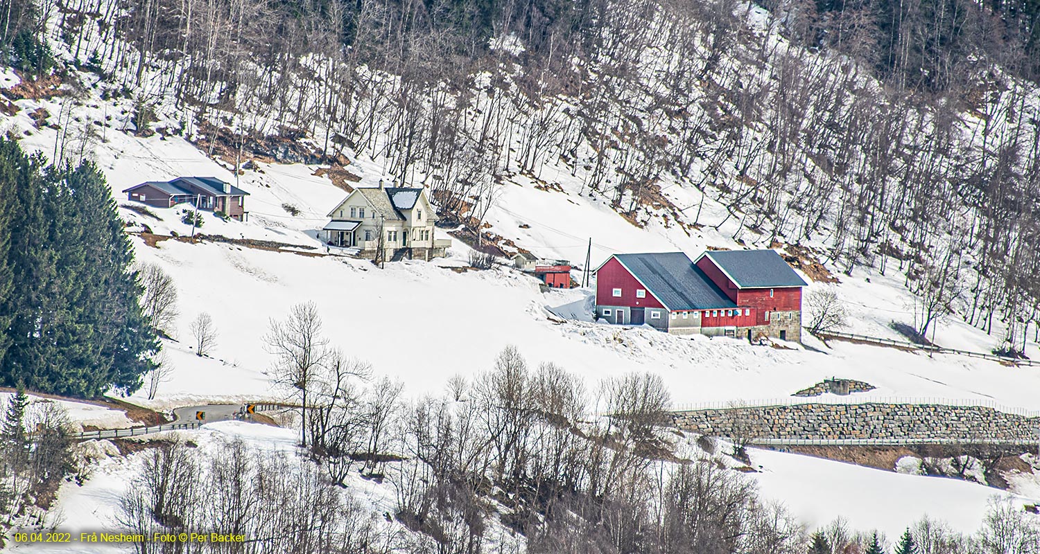 Frå Nesheim