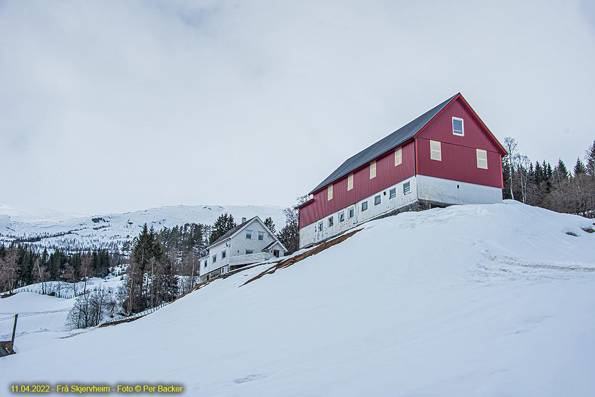 Frå Skjervheim