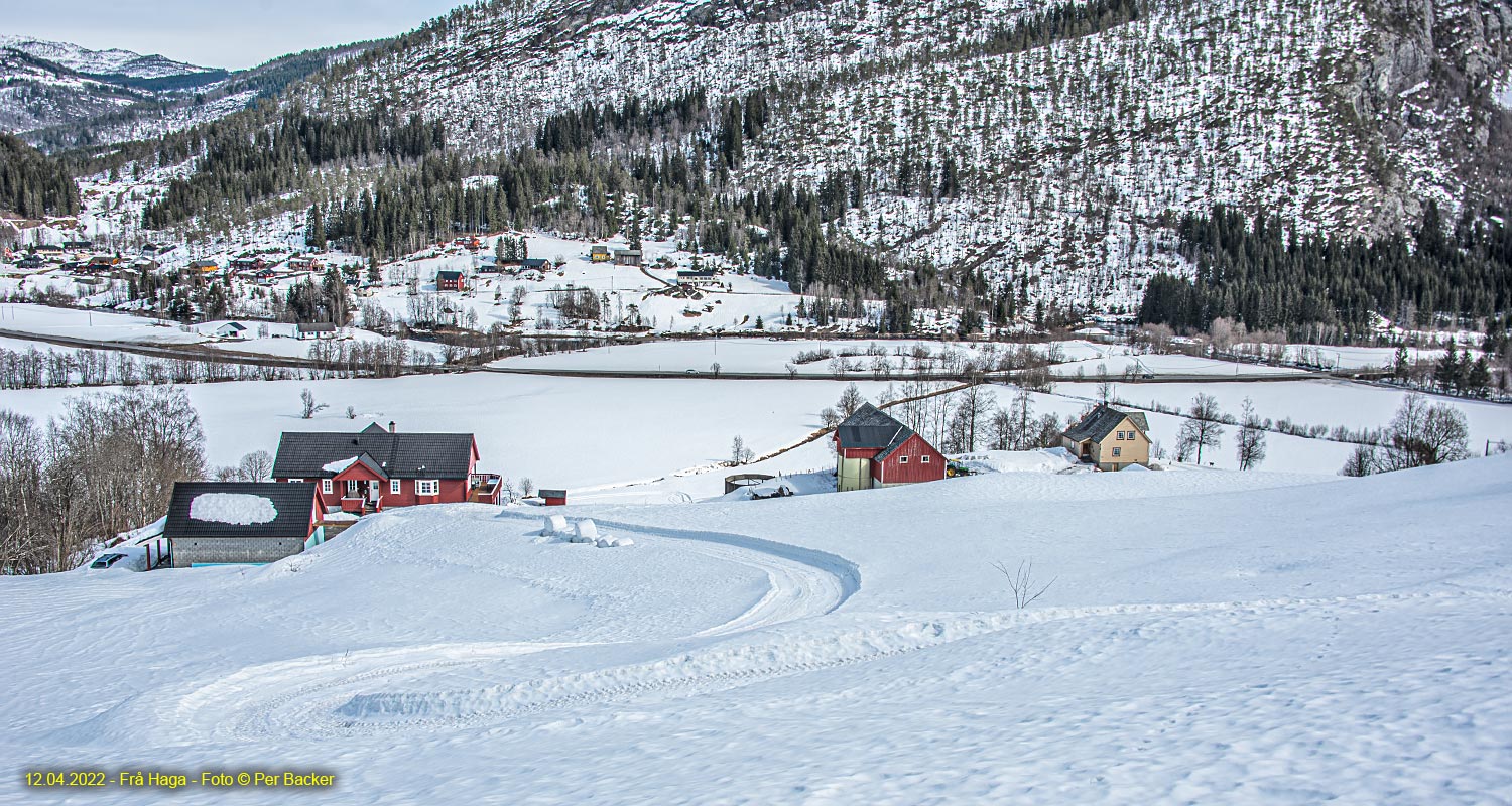 Frå Haga