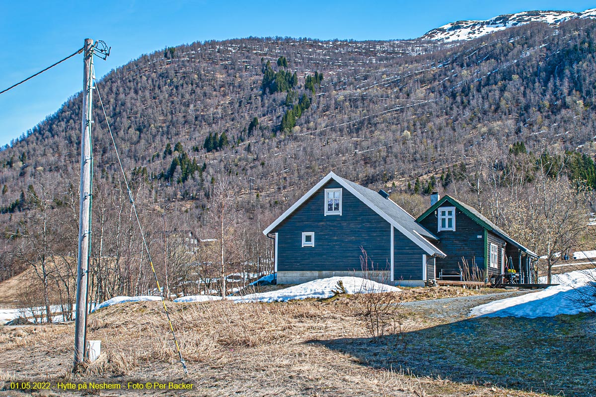 Hytte på Nesheim