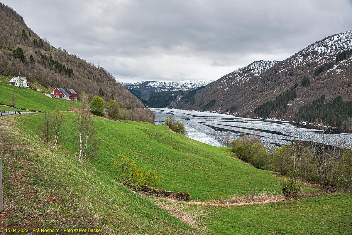 Frå Nesheim