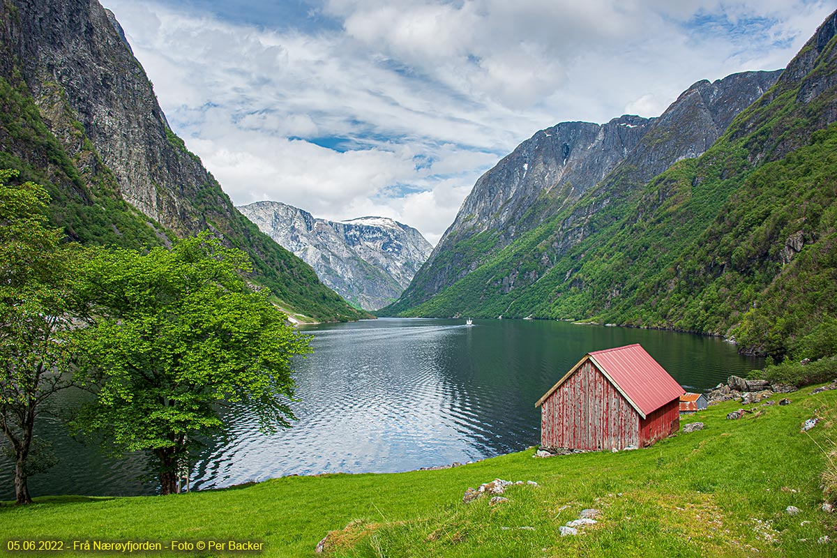 Frå Nærøyfjorden