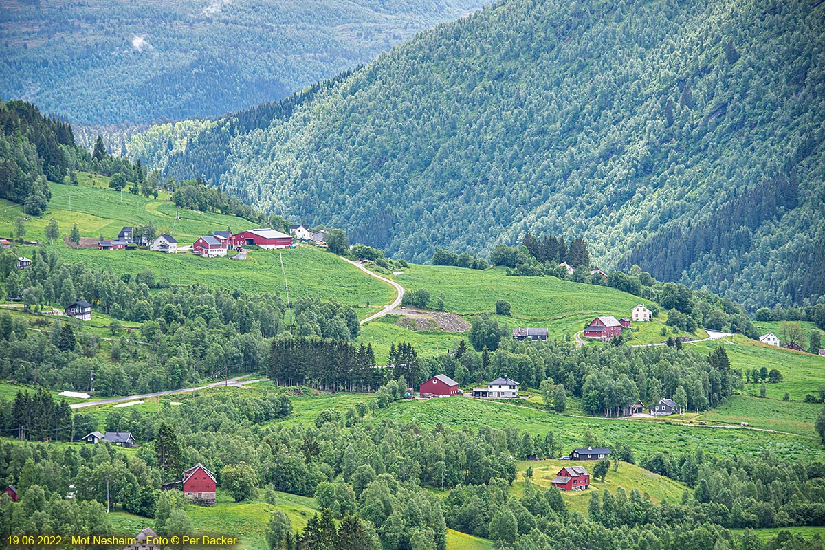 Frå Nesheim