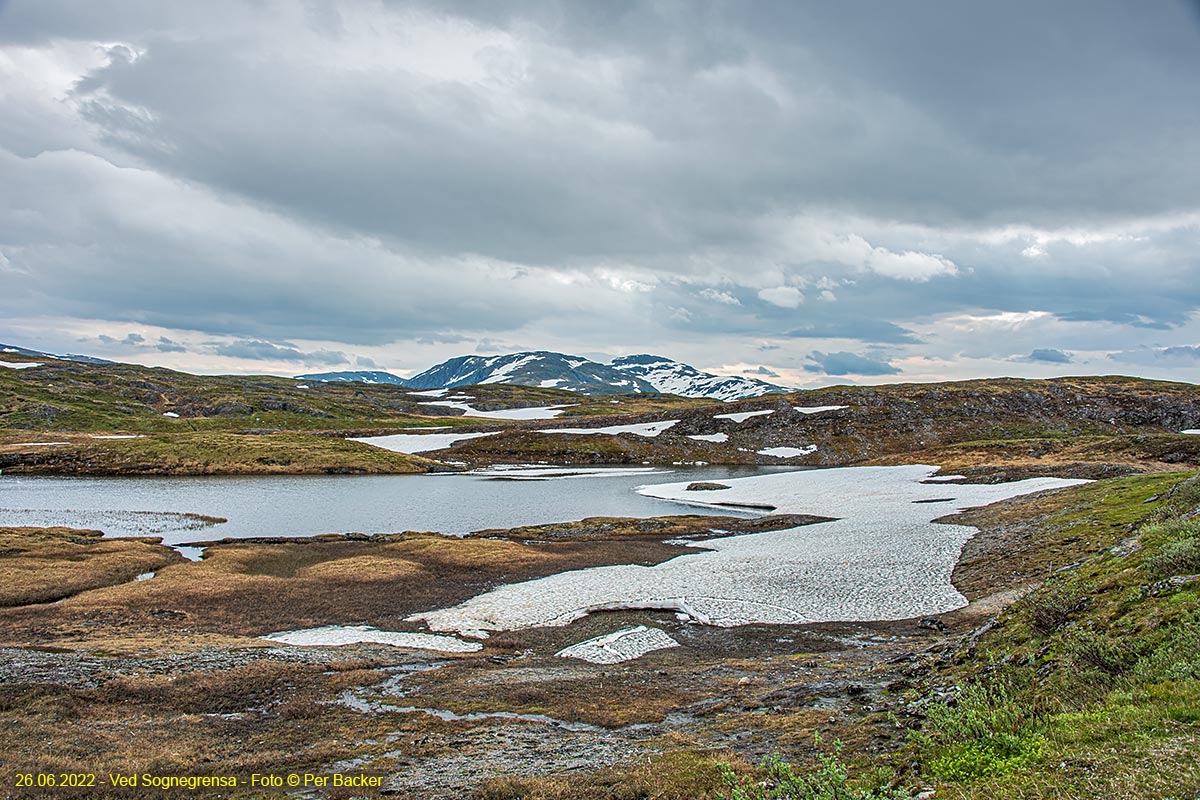 Ved Sognegrensa