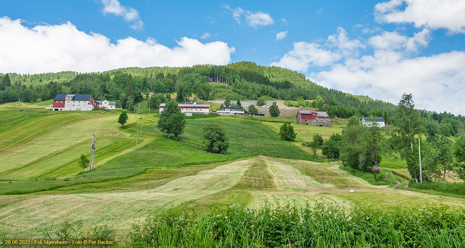 Frå Skjervheim