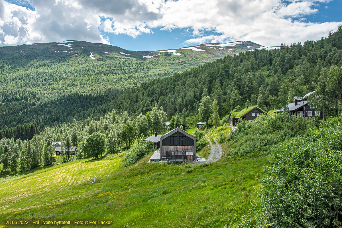 Frå Tveite hyttefelt