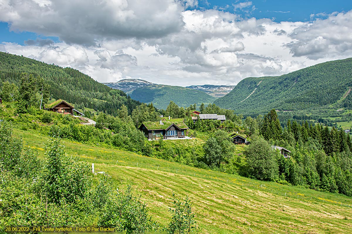 Frå Tveite hyttefelt