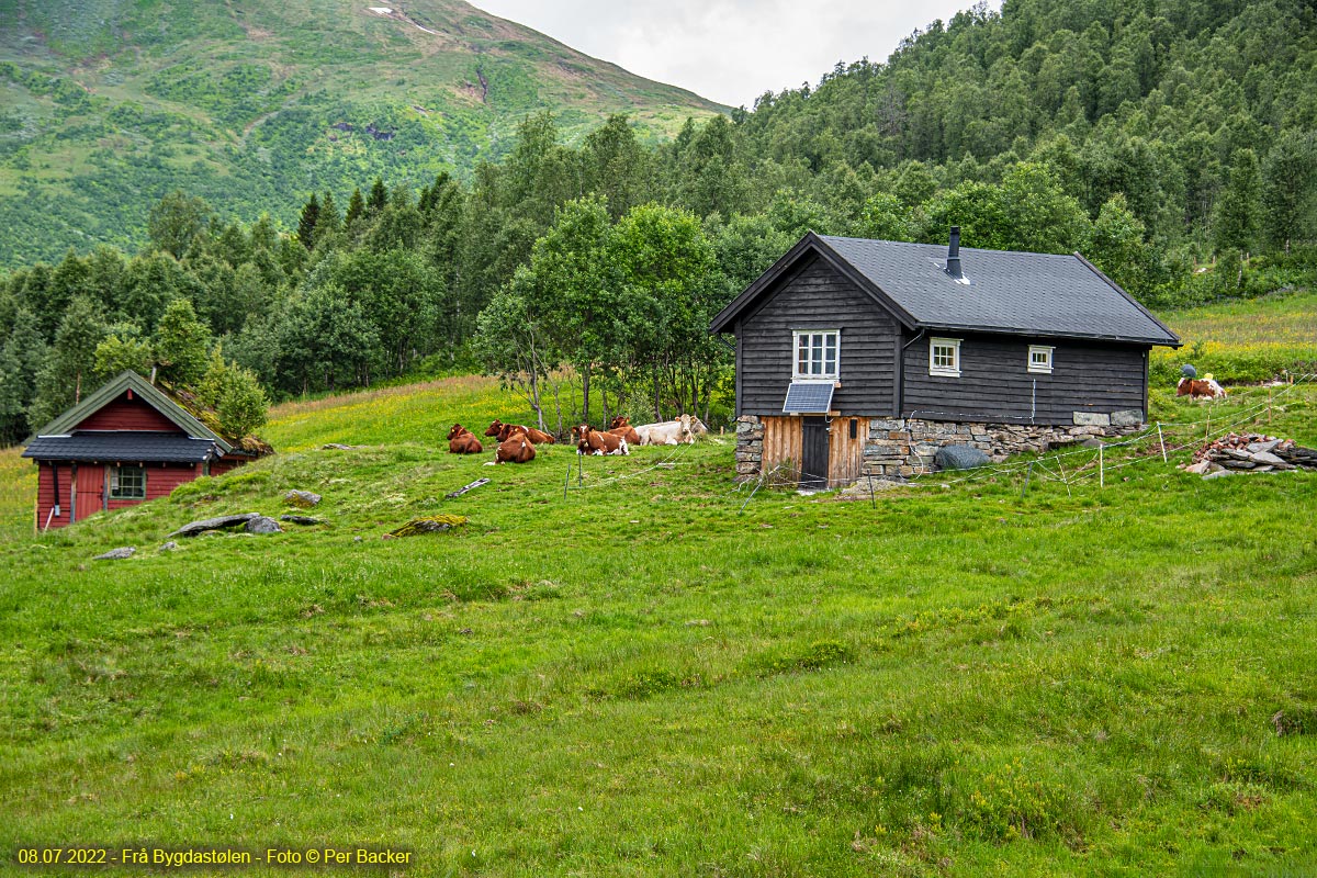 Frå Bygdastølen