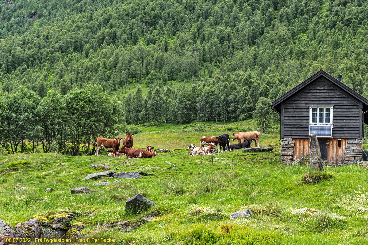 Frå Bygdastølen