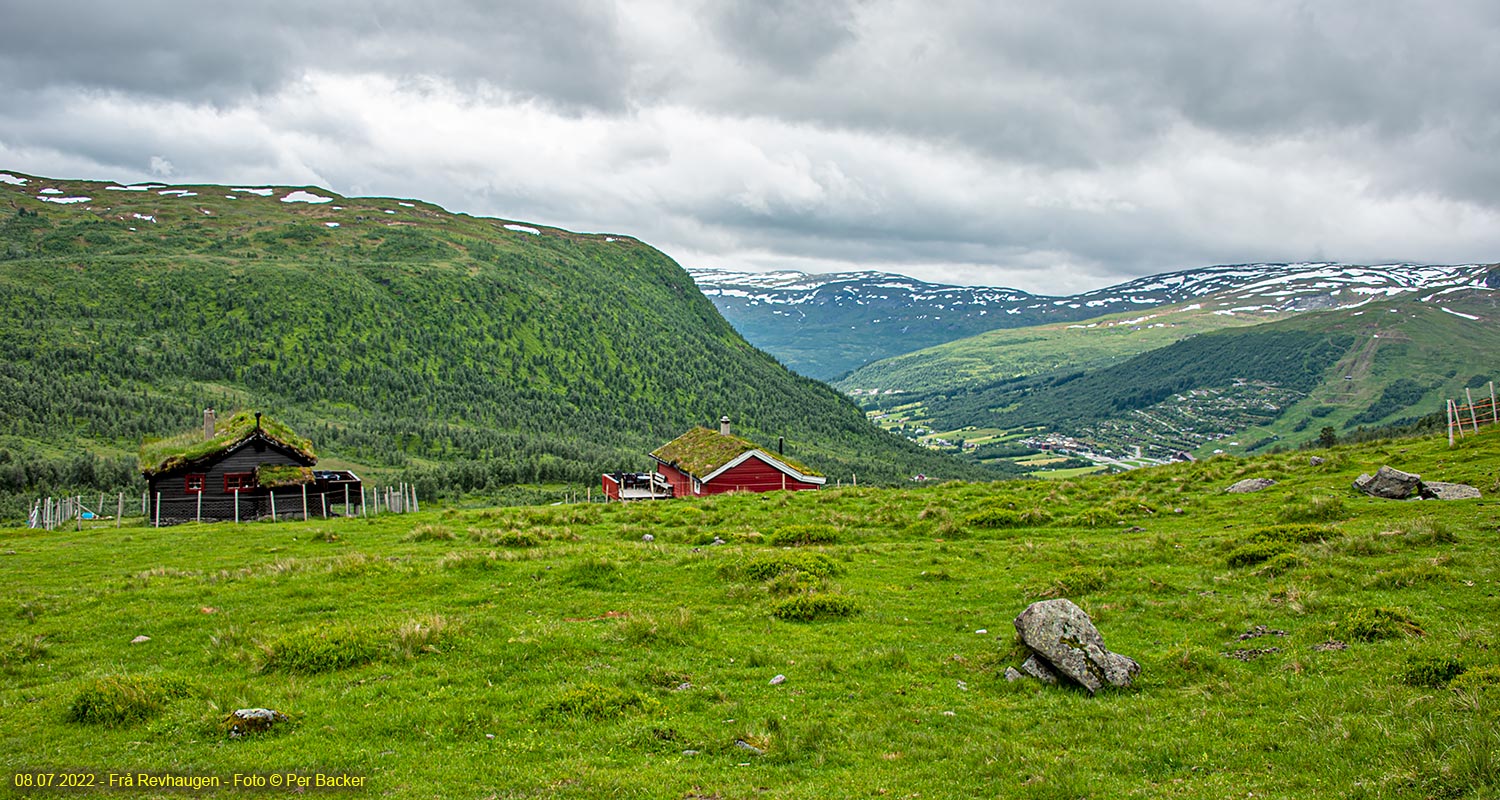 Frå Revhaugen