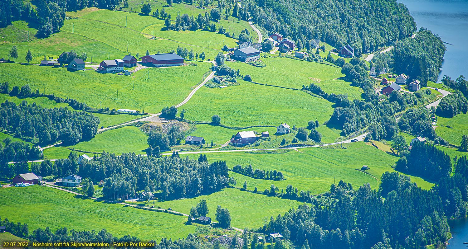 Nesheim sett frå Skjervheimstølen