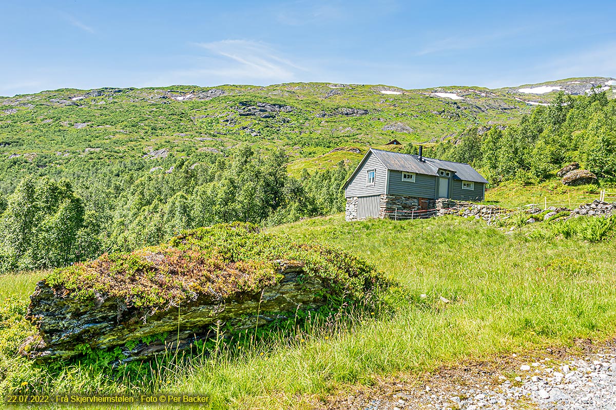 Frå Skjervheimstølen