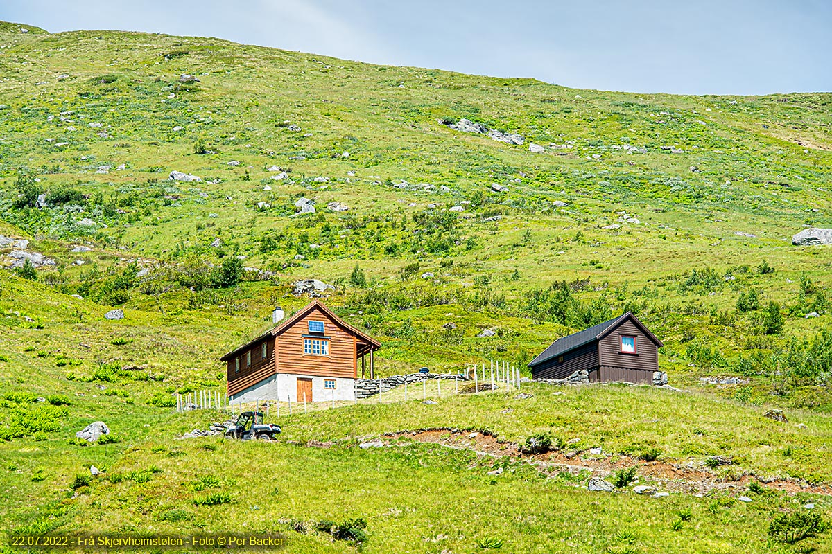 Frå Skjervheimstølen