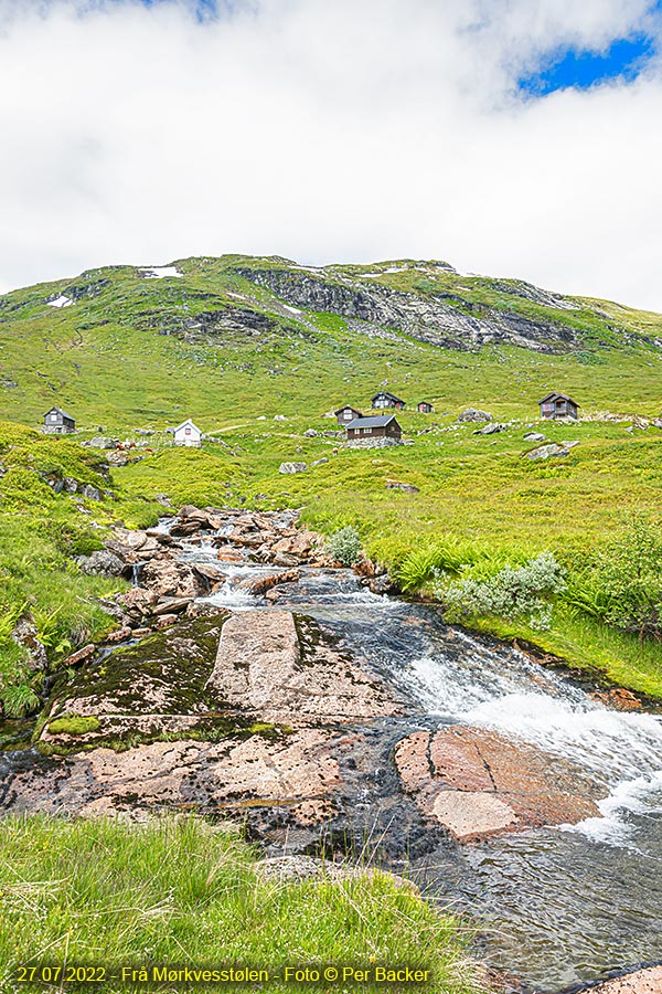 Frå Mørkvesstølen