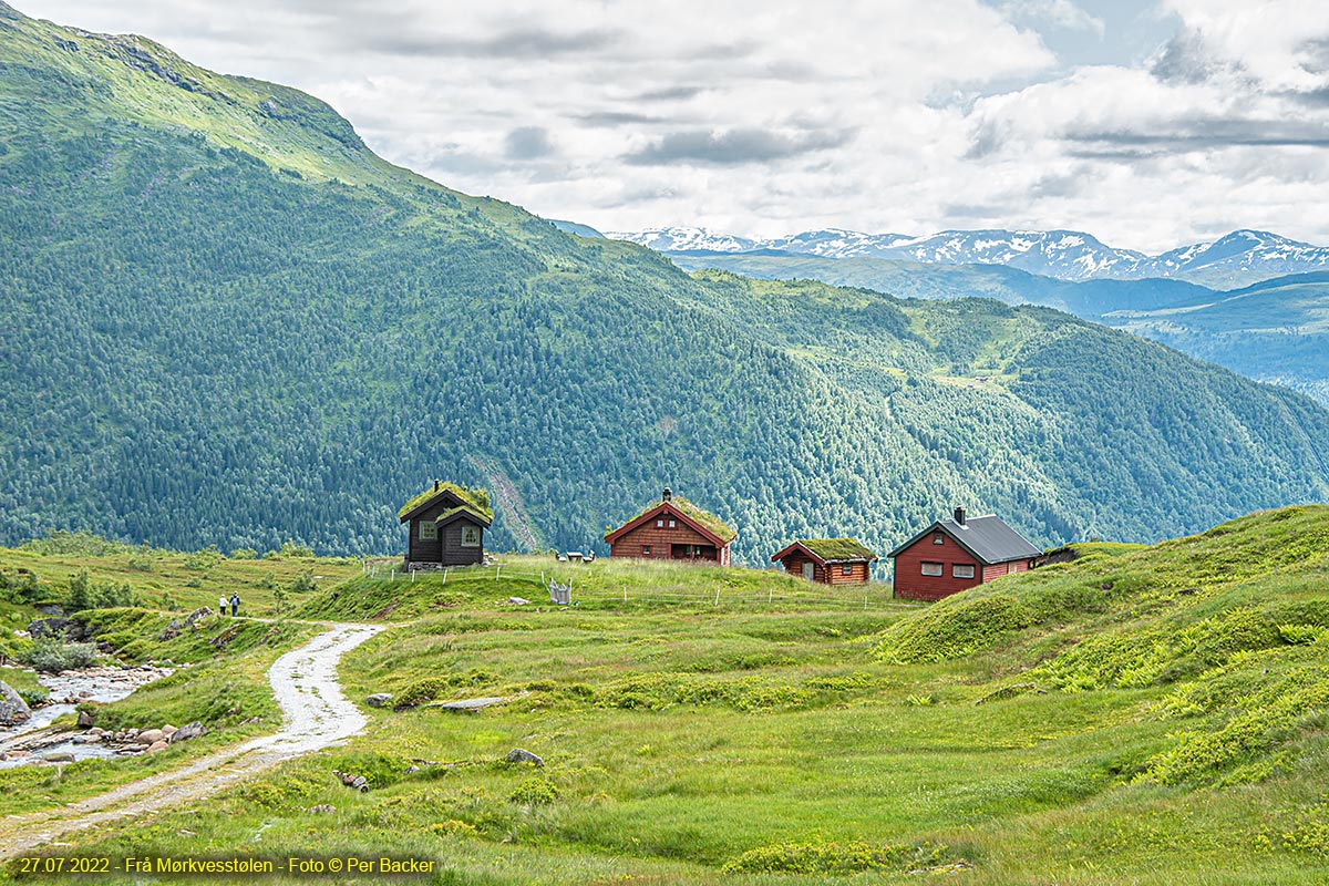 Frå Mørkvesstølen