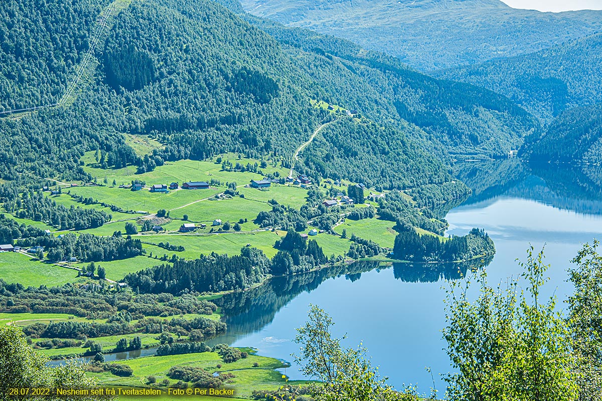 Nesheim sett frå Tveitastølen