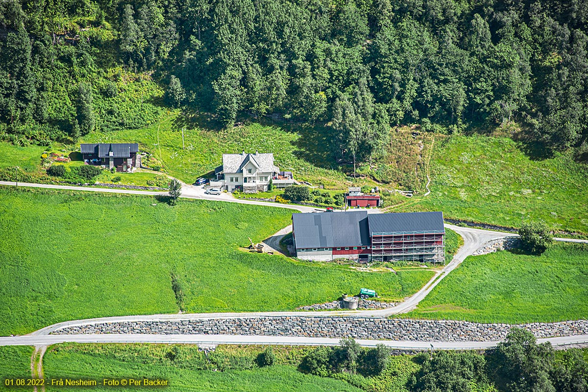 Frå Nesheim