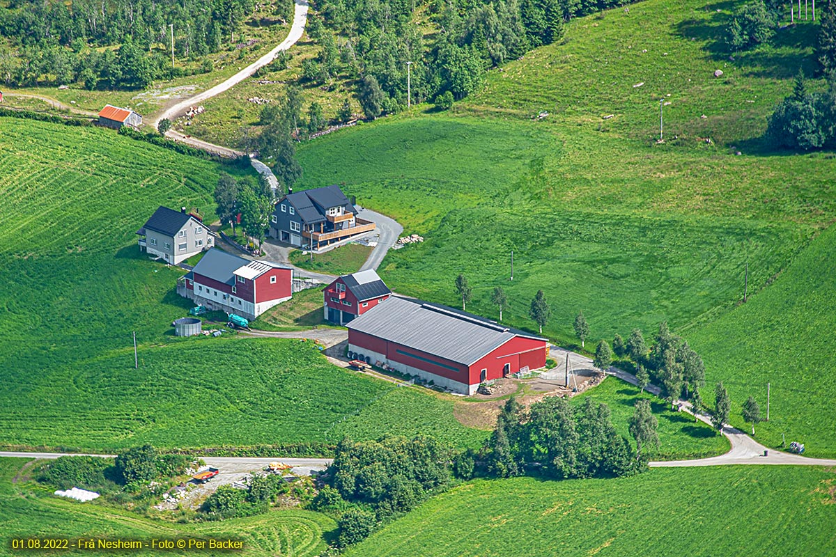 Frå Nesheim