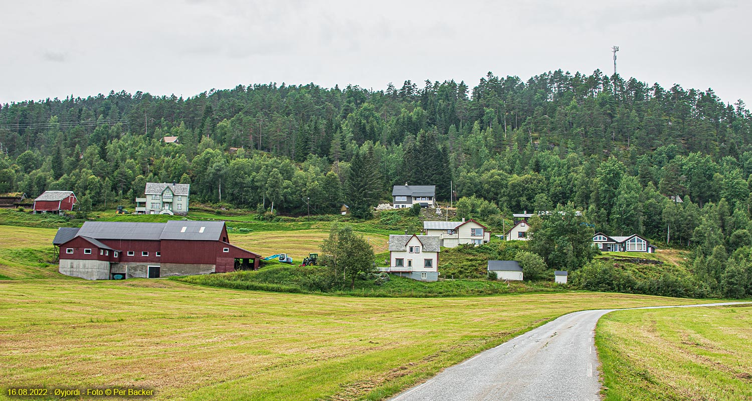 Øyjordi