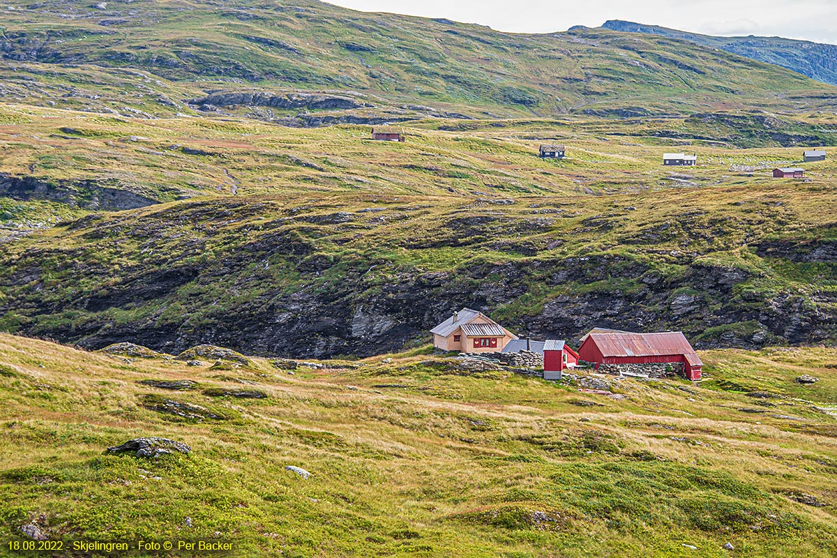 Skjelingen