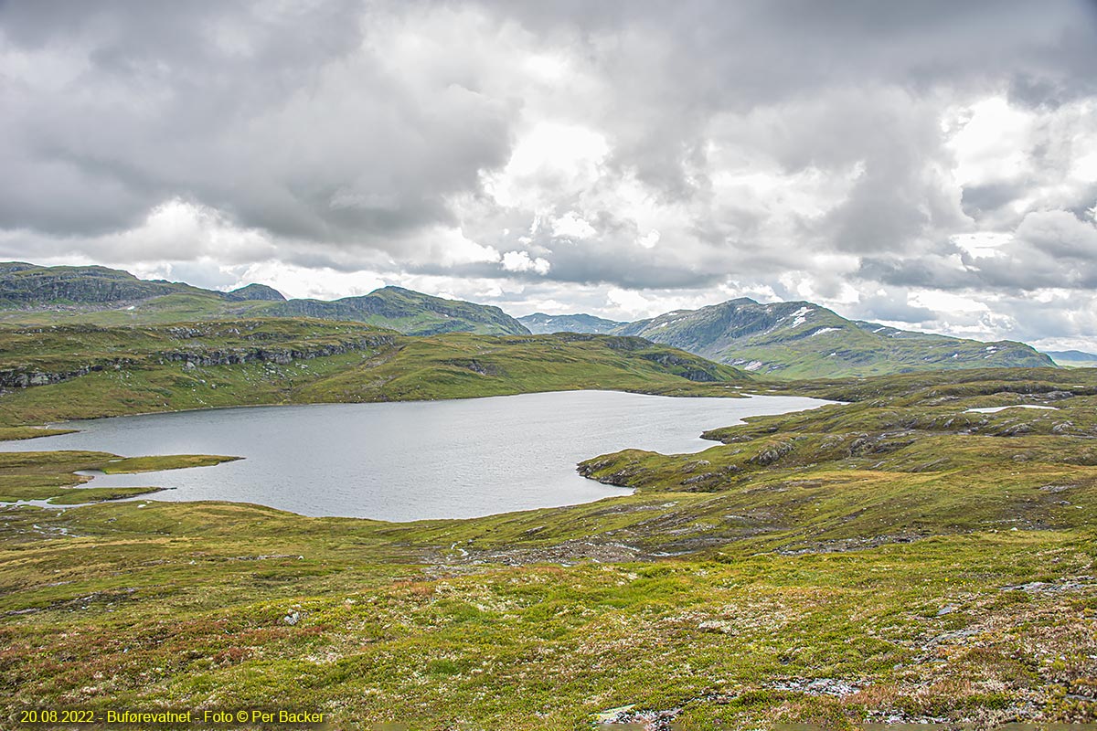 Buførevatnet