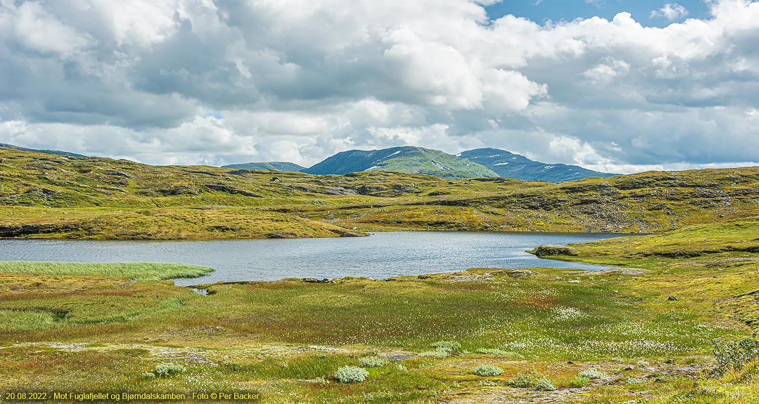 Mot Fuglafjellet og Bjørndalskamben