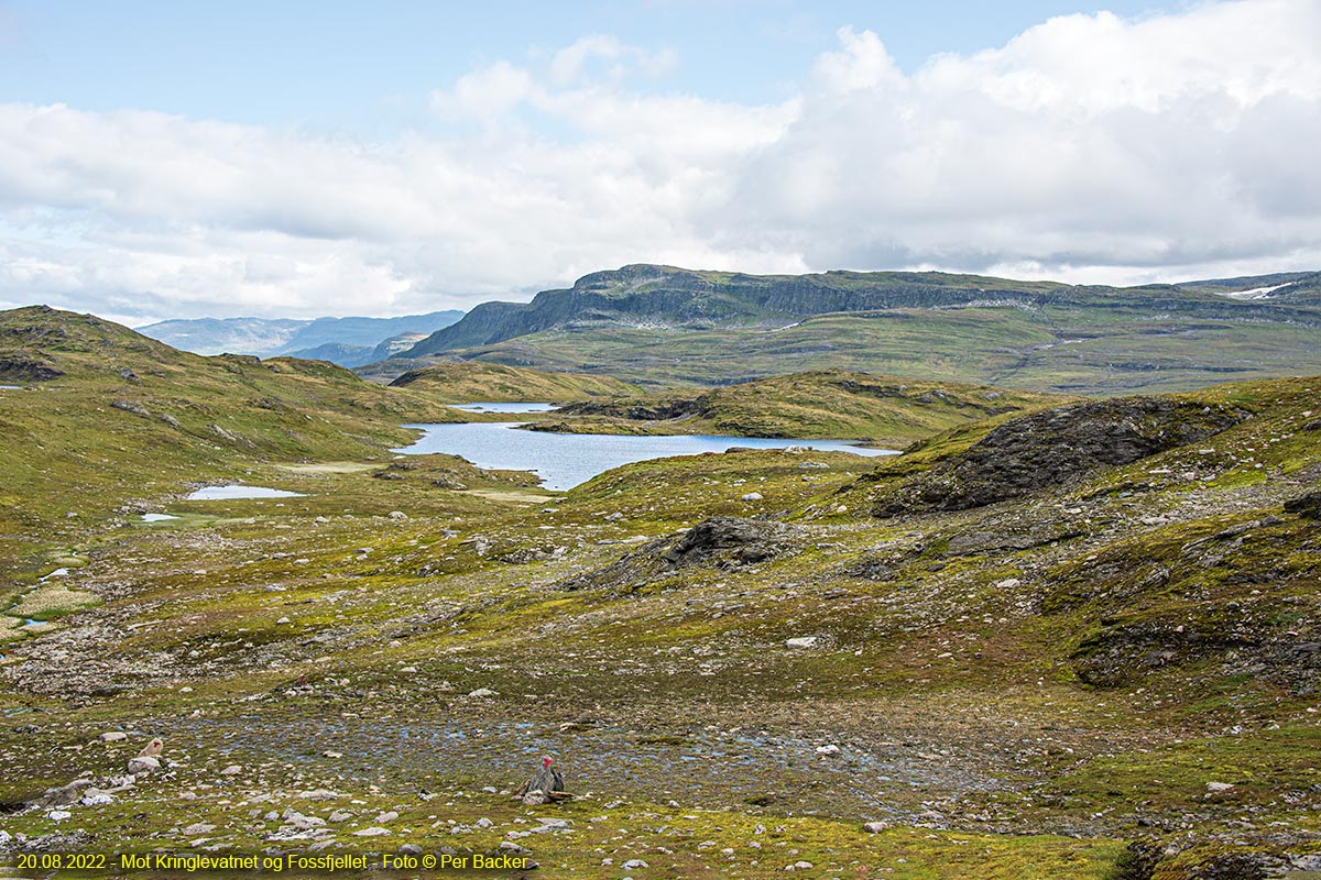 Mot Kringlevatnet og Fossfjellet