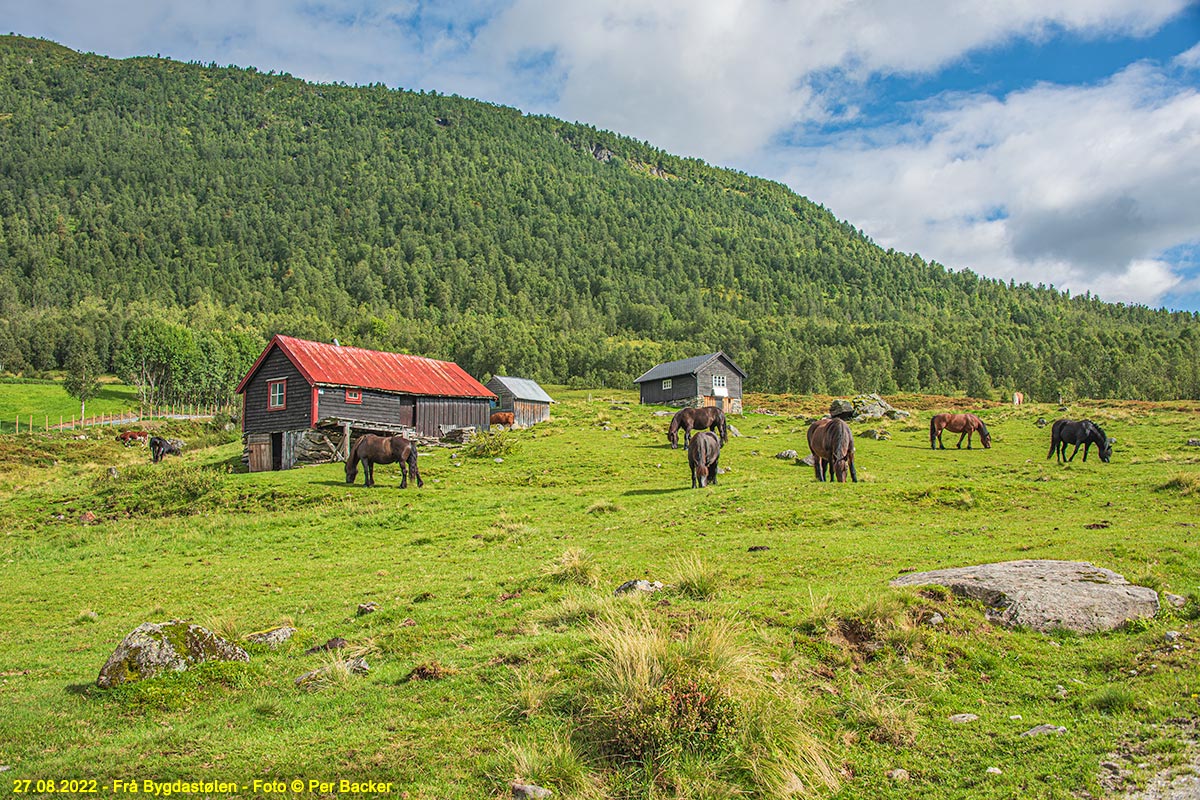 Frå Bygdastølen