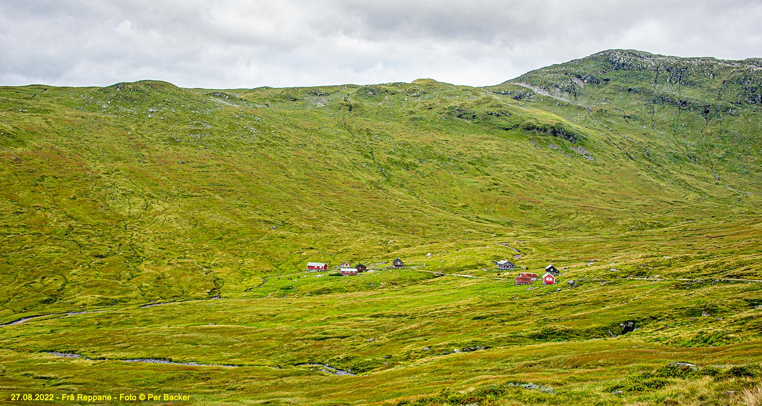 Frå Reppane