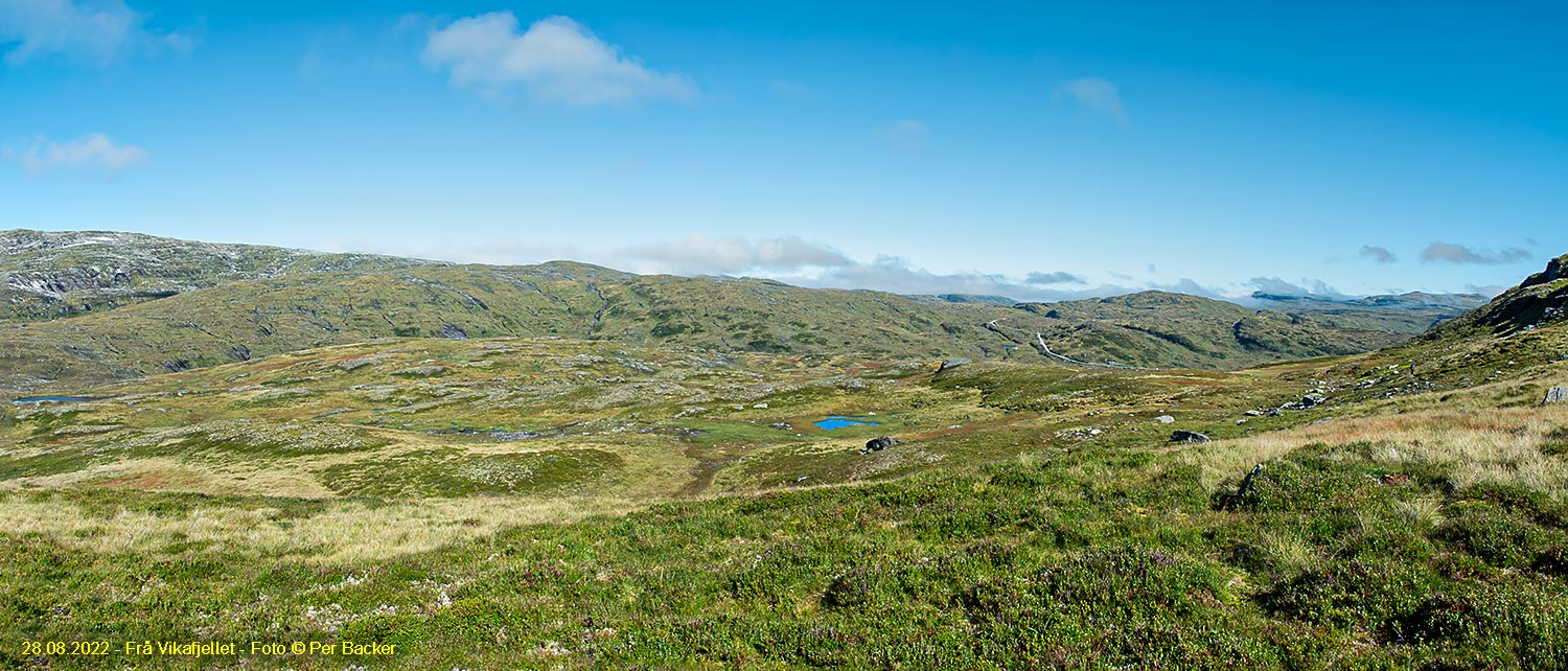 Frå Vikafjellet