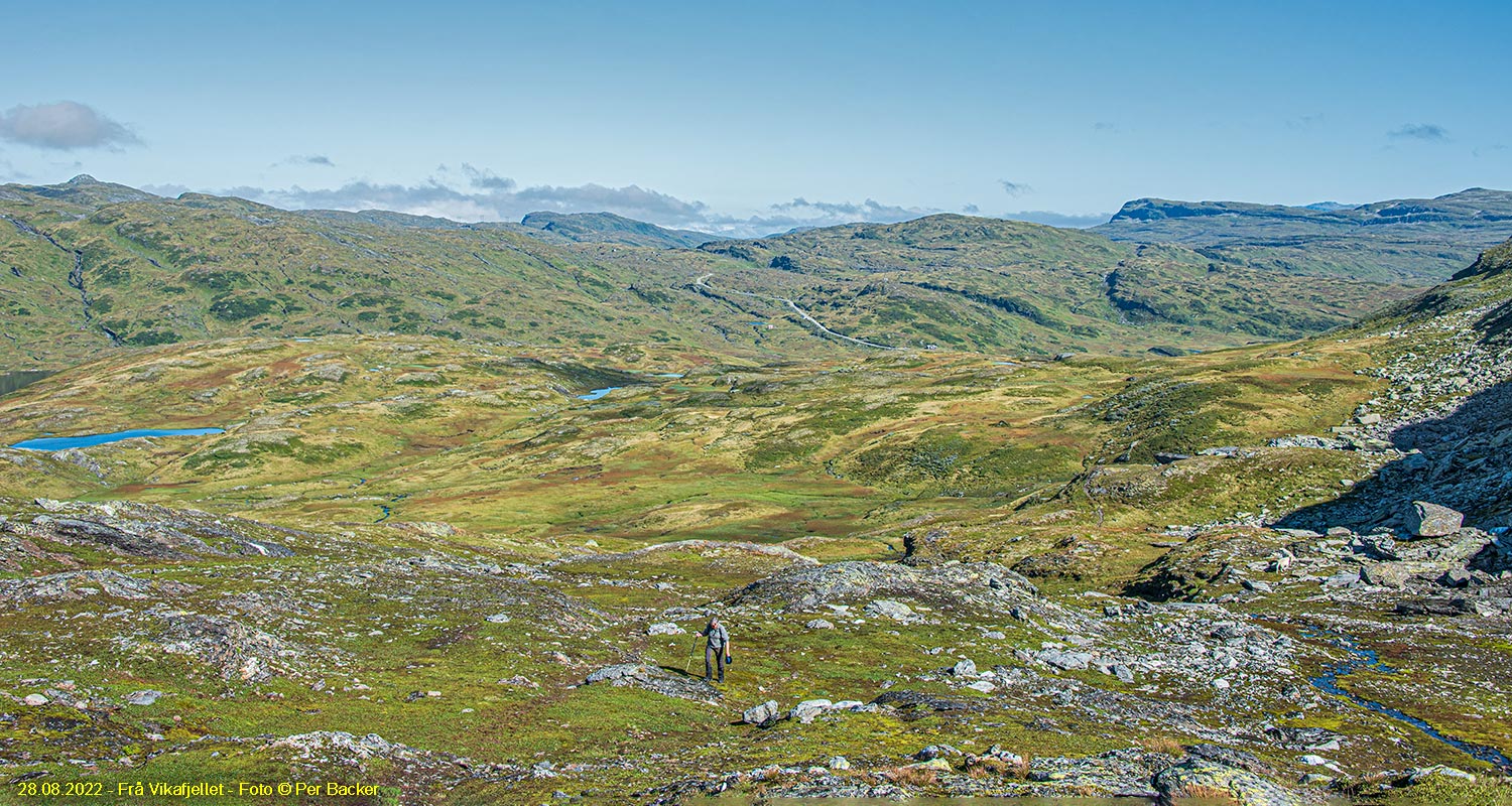 Frå Vikafjellet