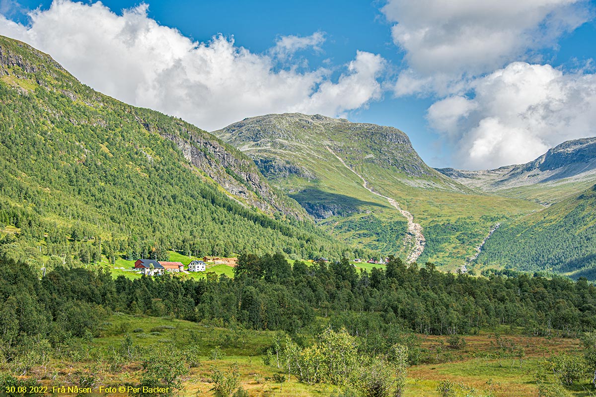 Frå Nåsen