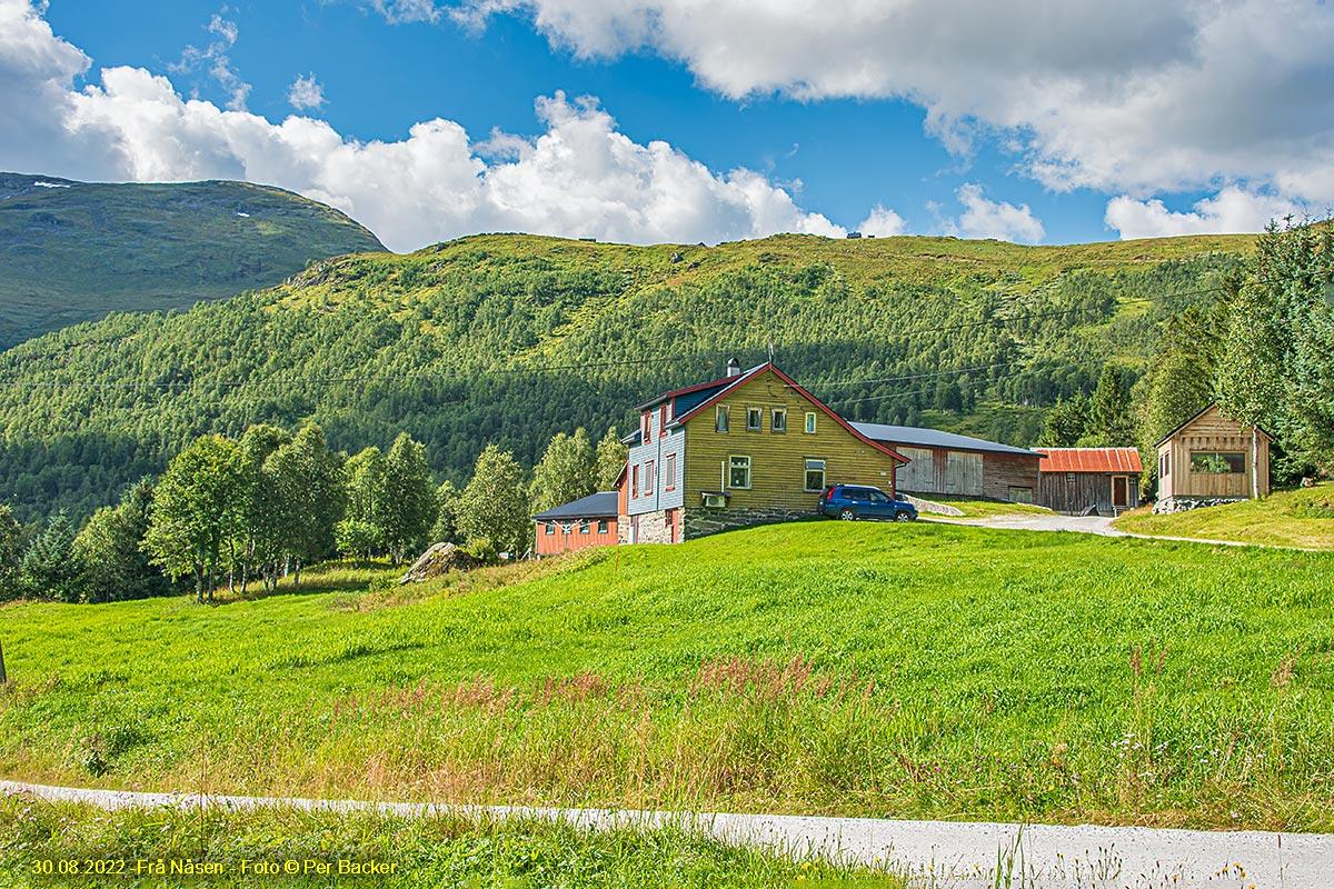 Frå Nåsen