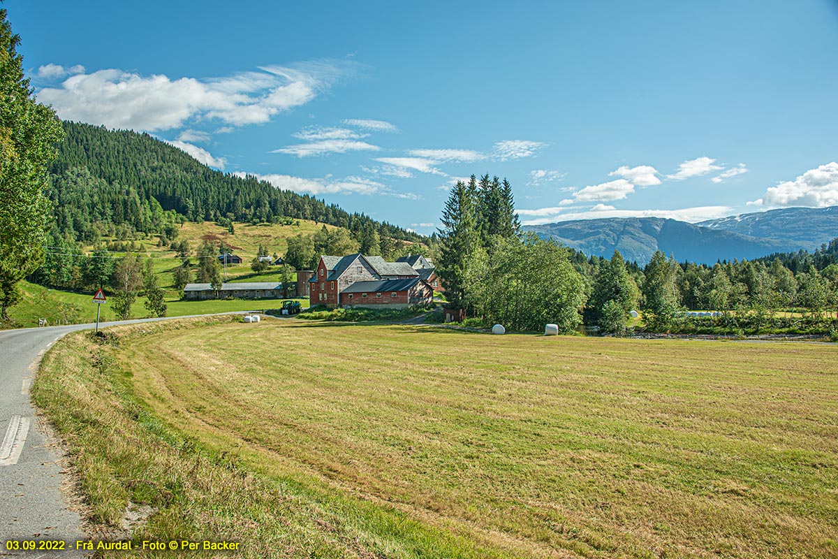 Frå Aurdal