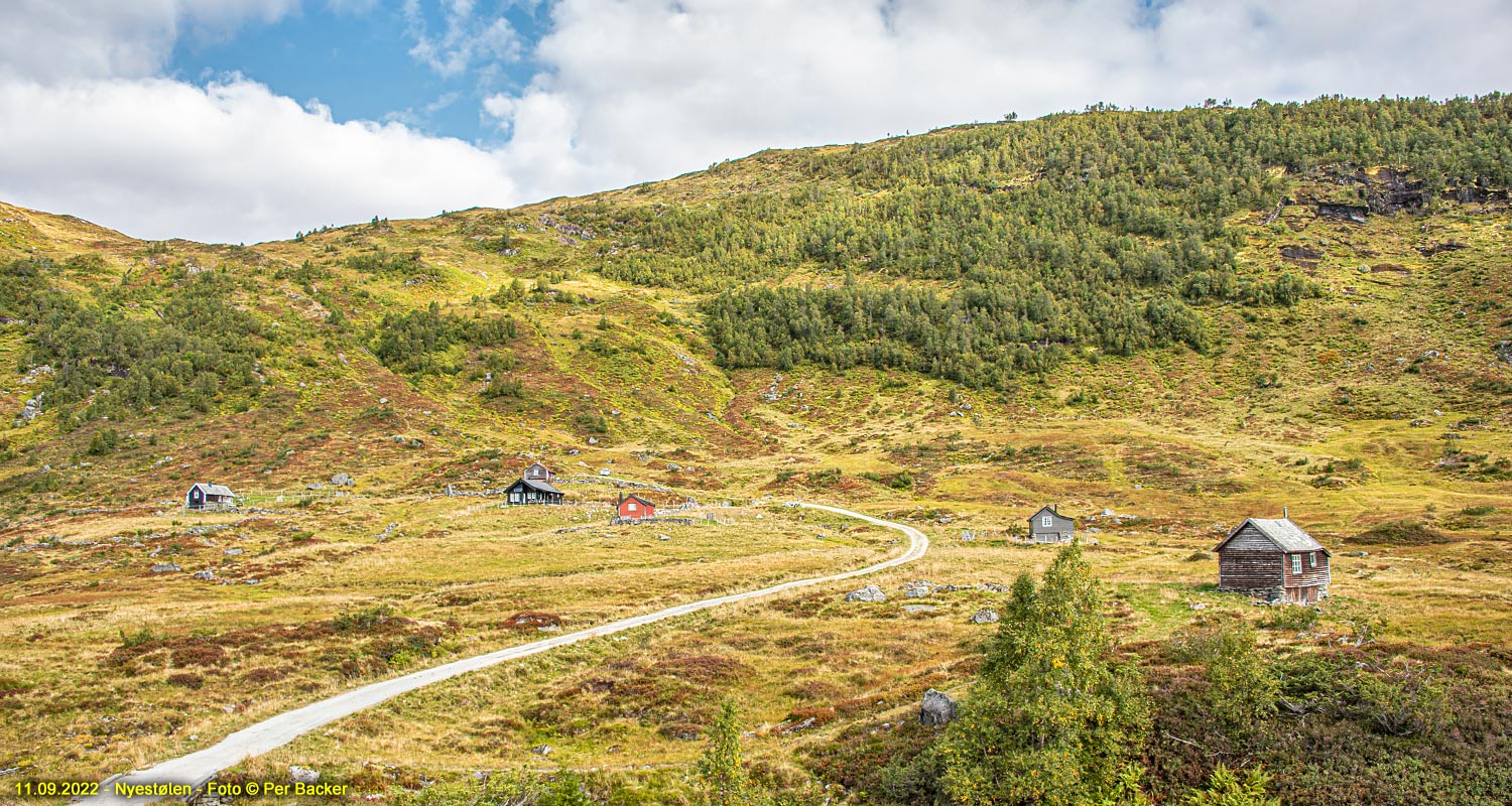 Nyestølen