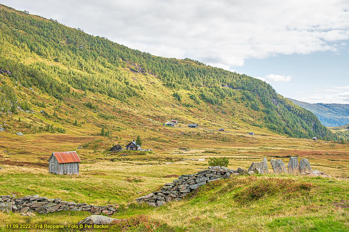 Frå Reppane