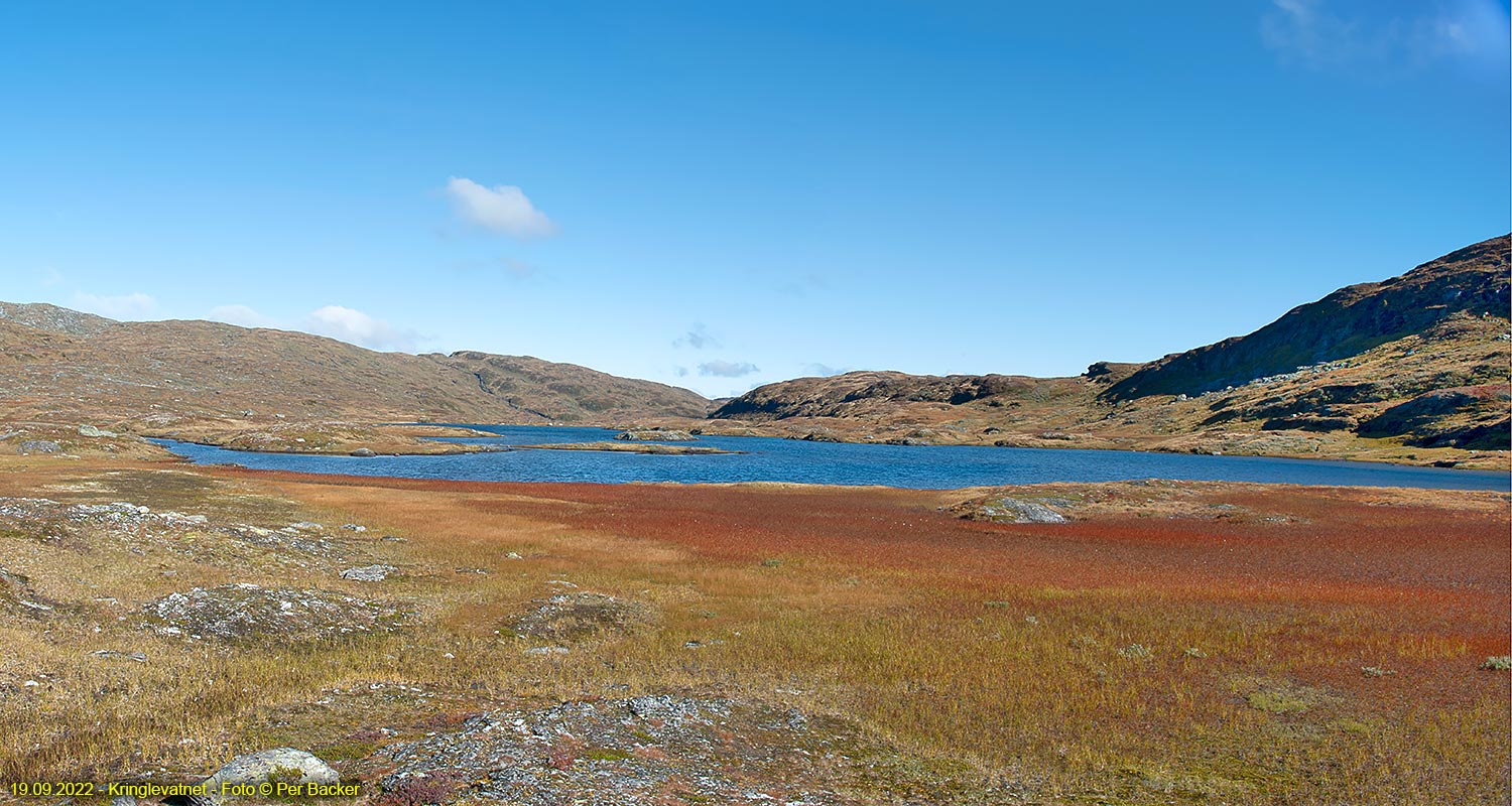 Kringelvatnet