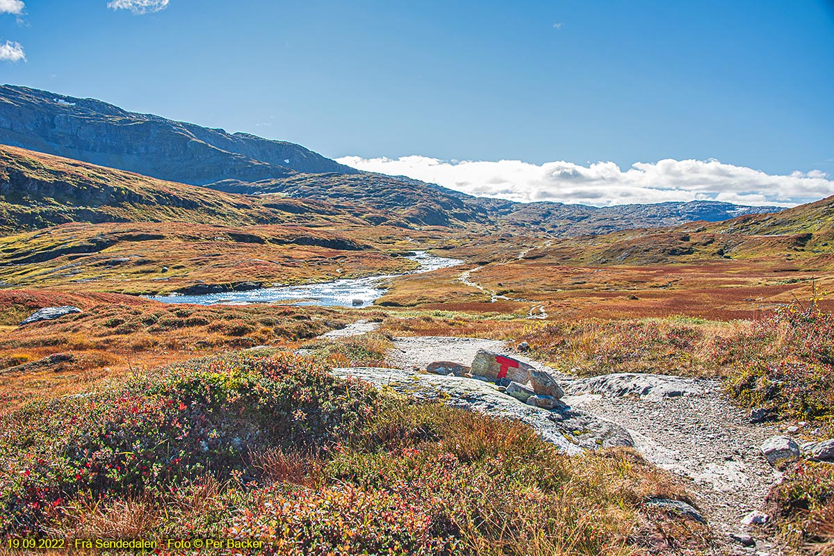 Frå Sendedalen