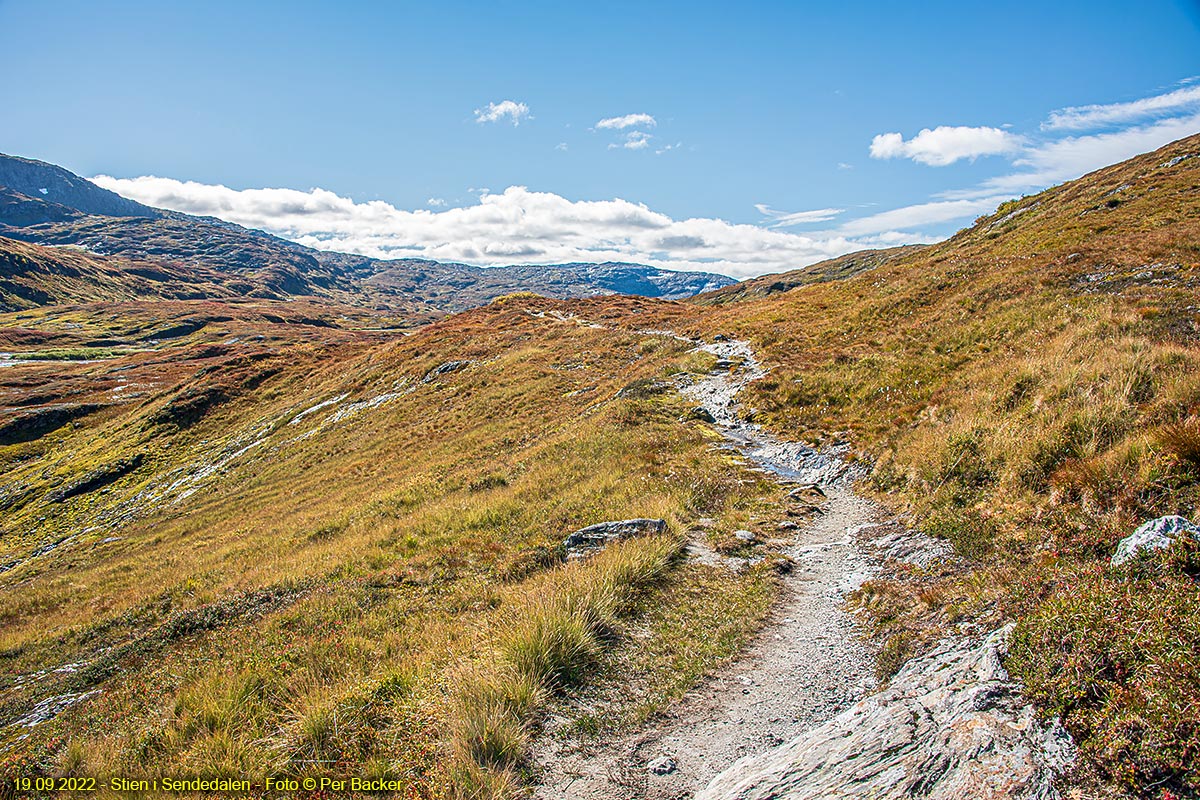 Stien i Sendedalen