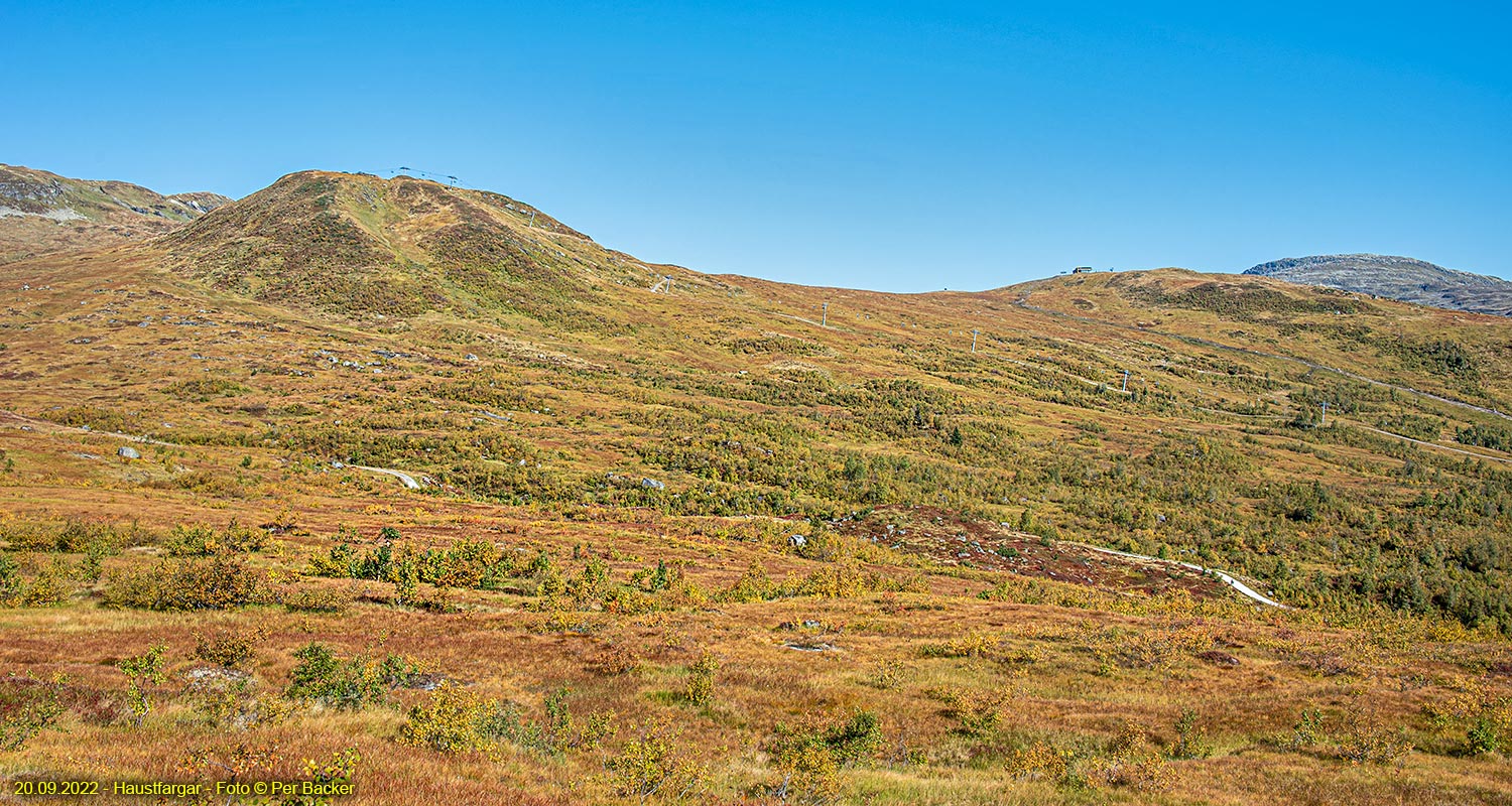 Haustfargar i fjellet