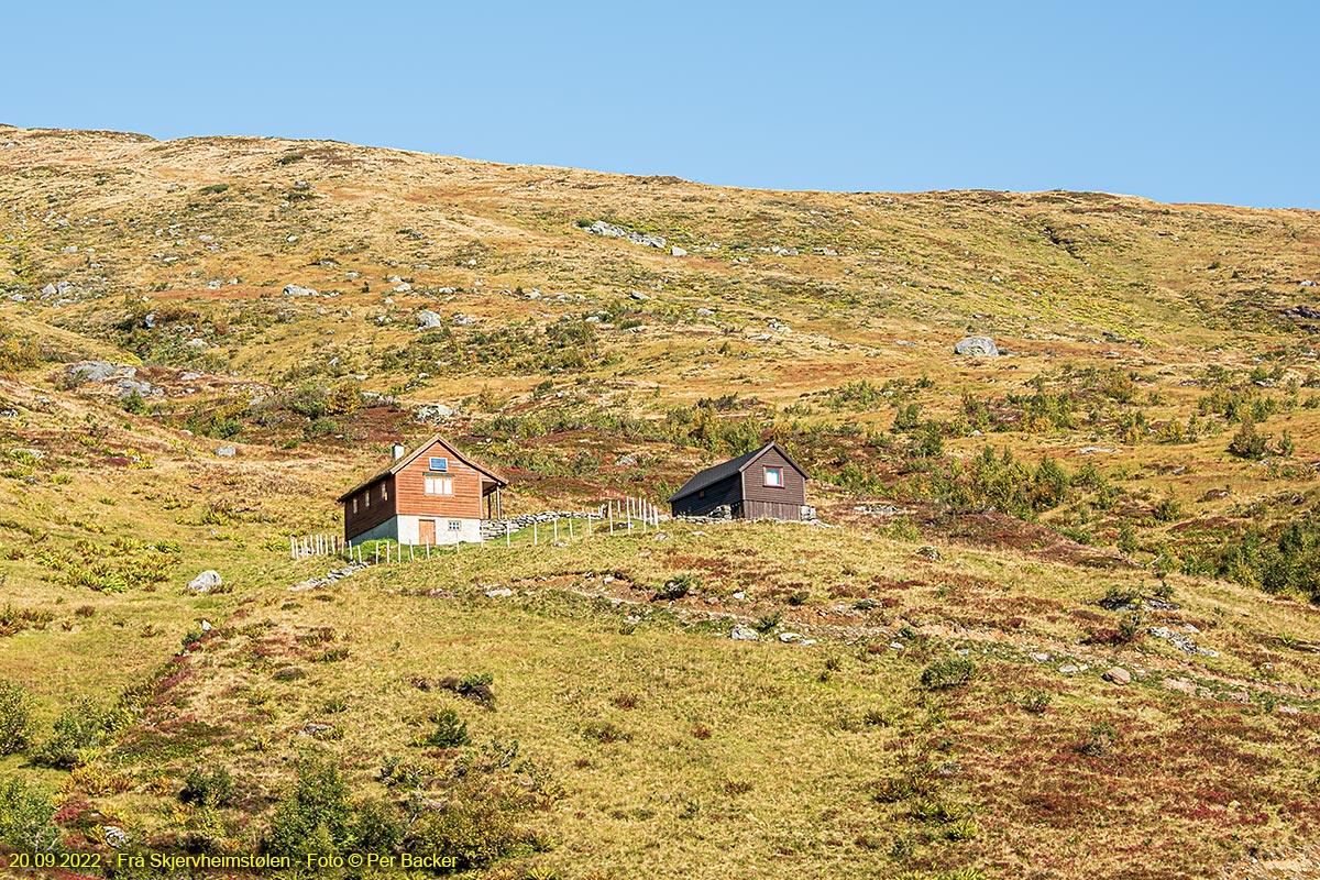 Frå Skjervheimstølen